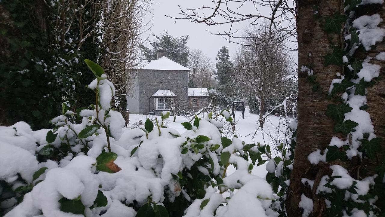 Bed and Breakfast Knockaderry House à Ennis Extérieur photo